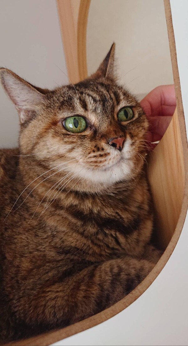 今月１回目まめちゃん☆