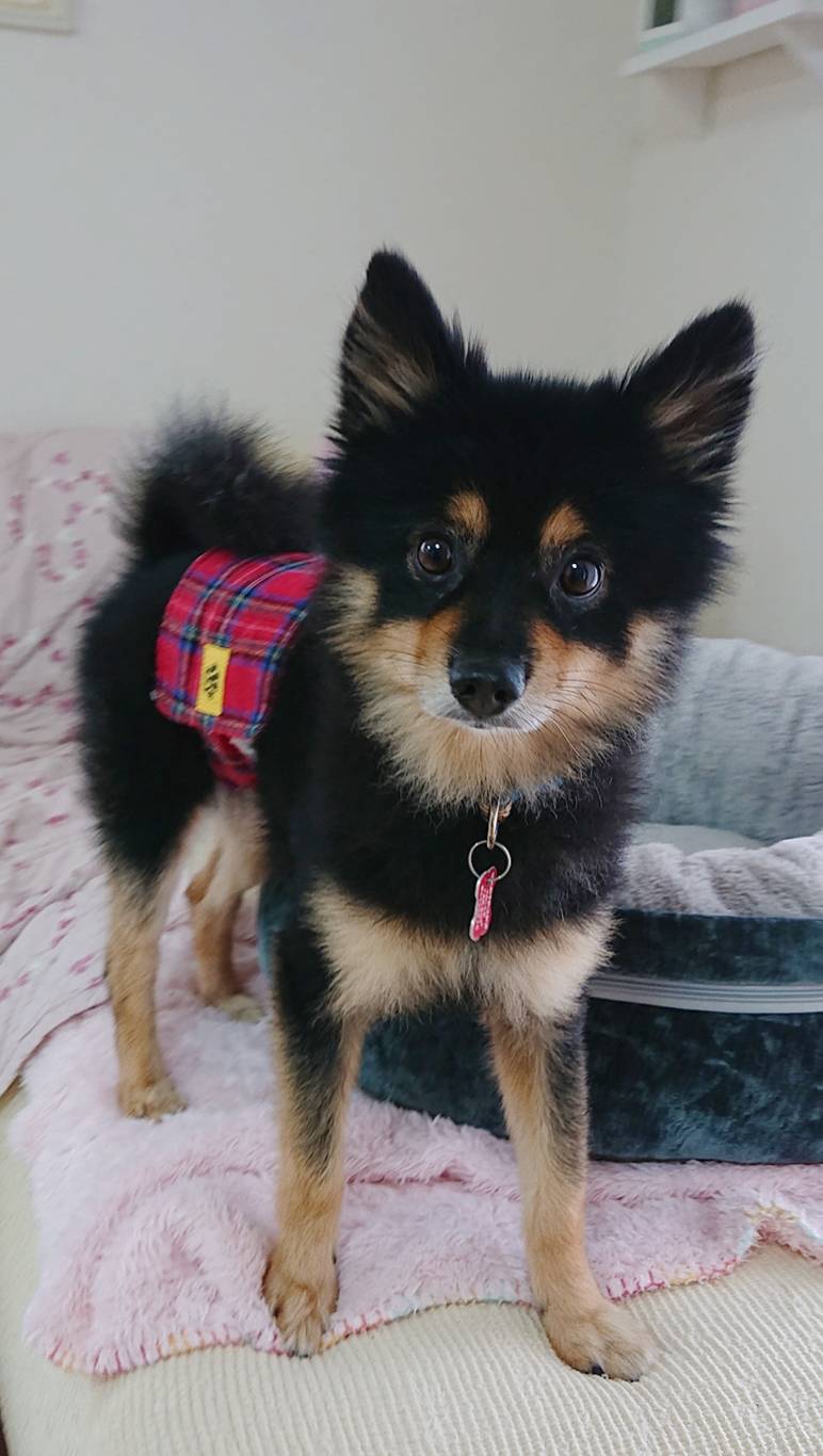 初めての相部屋ぽん太君☆