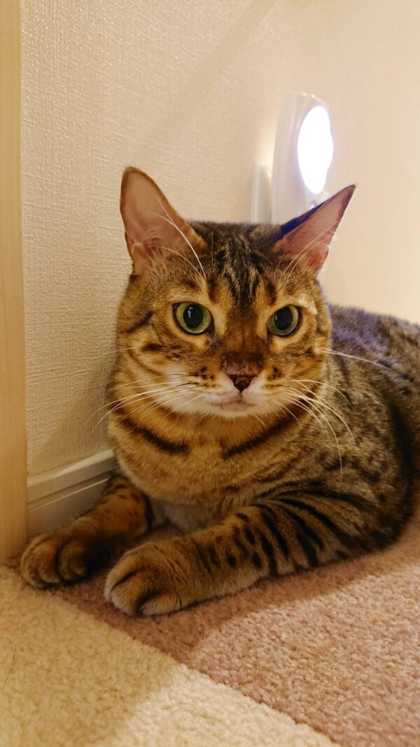 お馴染みメルちゃん・ロゼ君☆