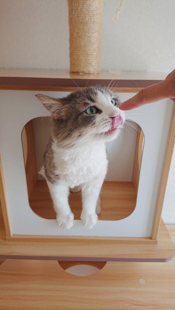 安心するエマちゃん☆