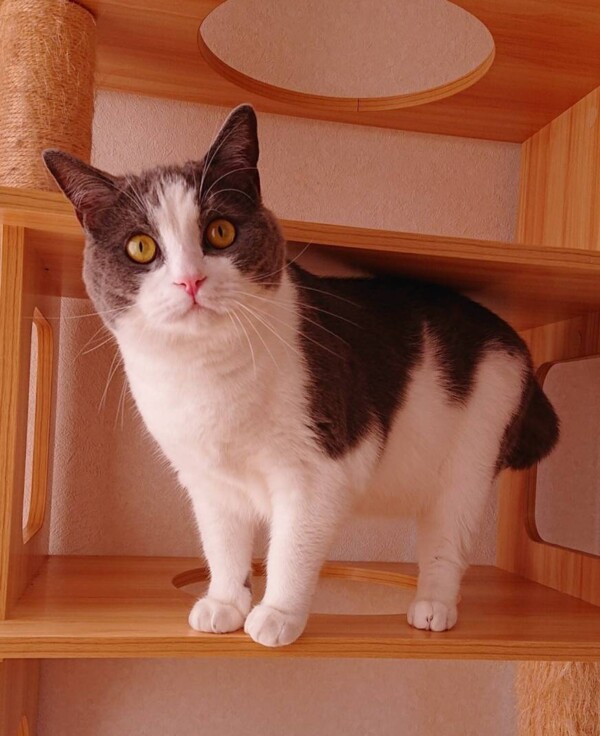 久しぶりDJ君☆