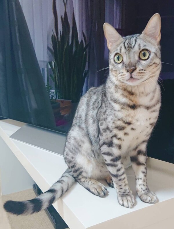 今月のメルちゃん・ロゼ君☆