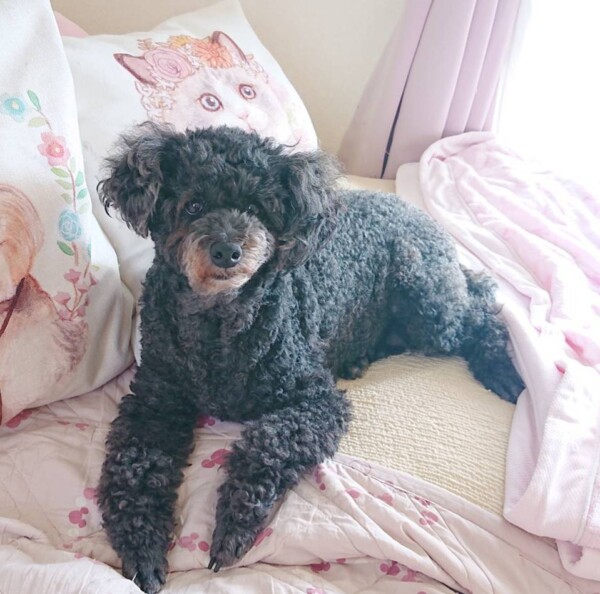 久しぶりそばちゃん☆