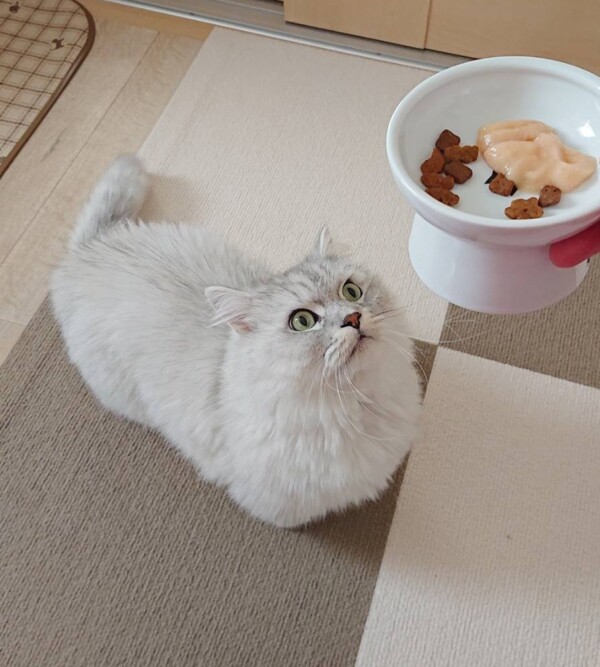 ご機嫌ぎん君☆