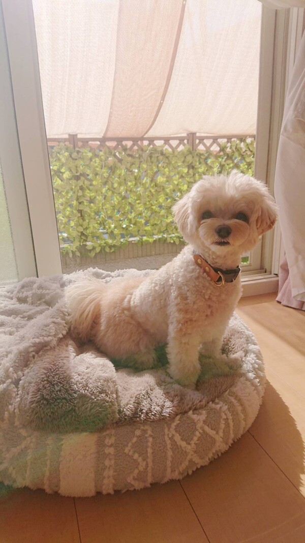 頑張っているリアム君☆