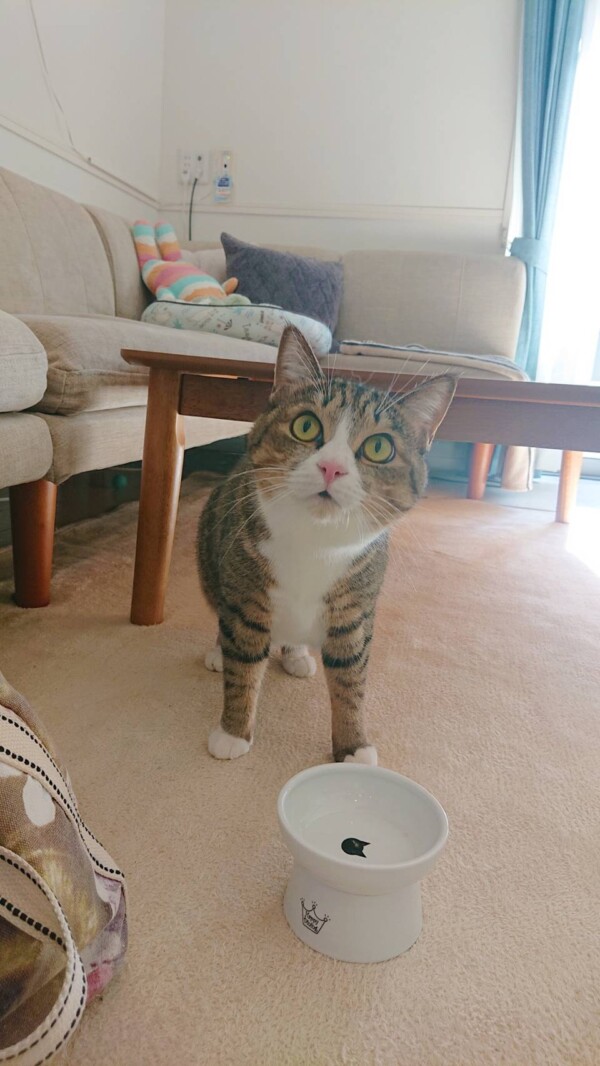 距離が近付いたモナちゃん☆