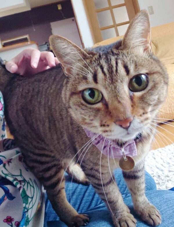 お膝大好きうたちゃん☆