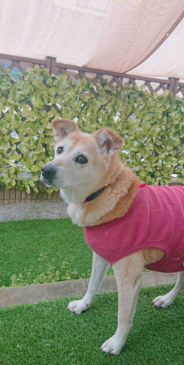 MIXの日和ちゃん☆