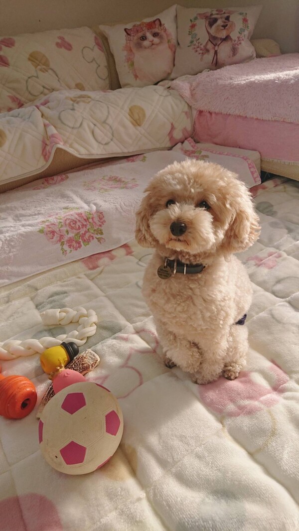 ６日間マメ君☆