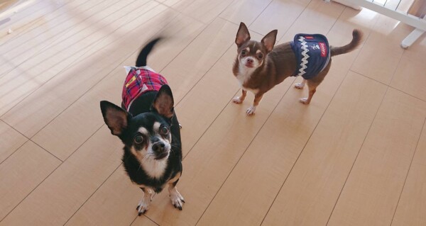 ぬくぬくリク君＆レン君☆