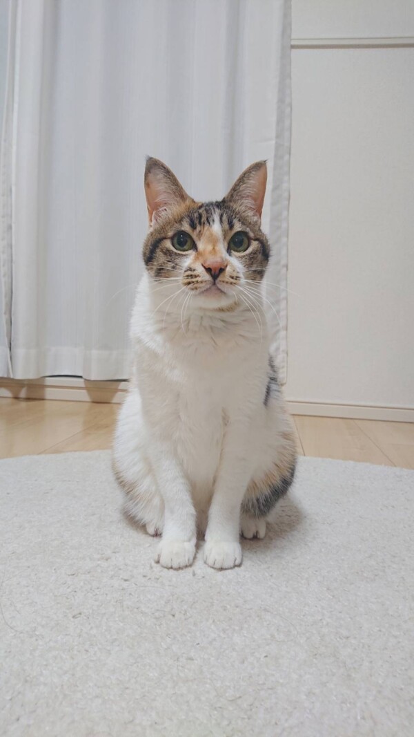 ダイエット成功たまちゃん☆