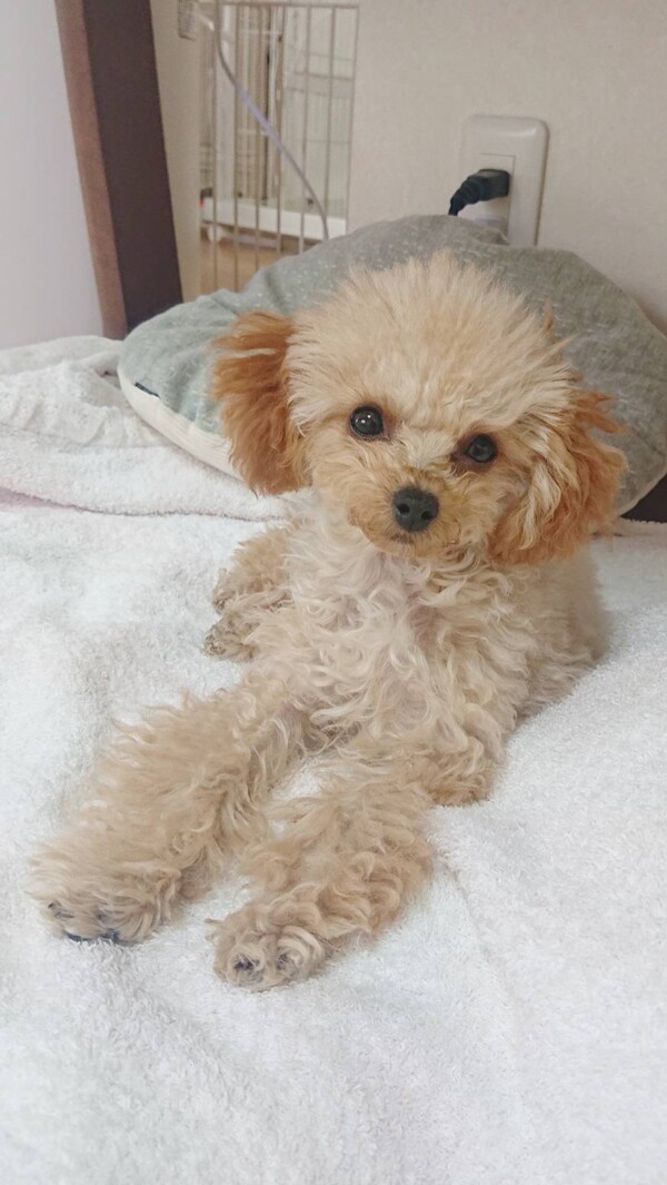 お泊りセナ君☆