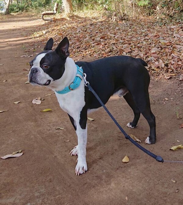 今年最後ふぅ太君☆