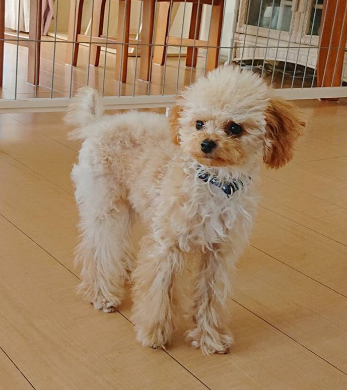 ２日連続日帰りセナ君☆