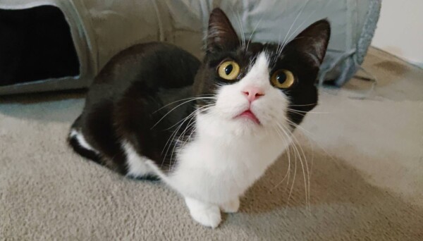 ドМなハル君・リッカちゃん☆