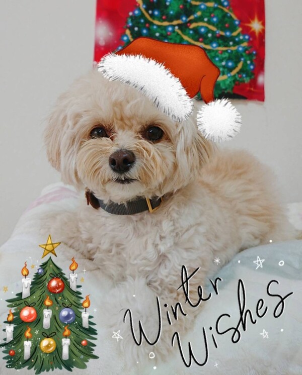 たくさん初めてリアム君☆