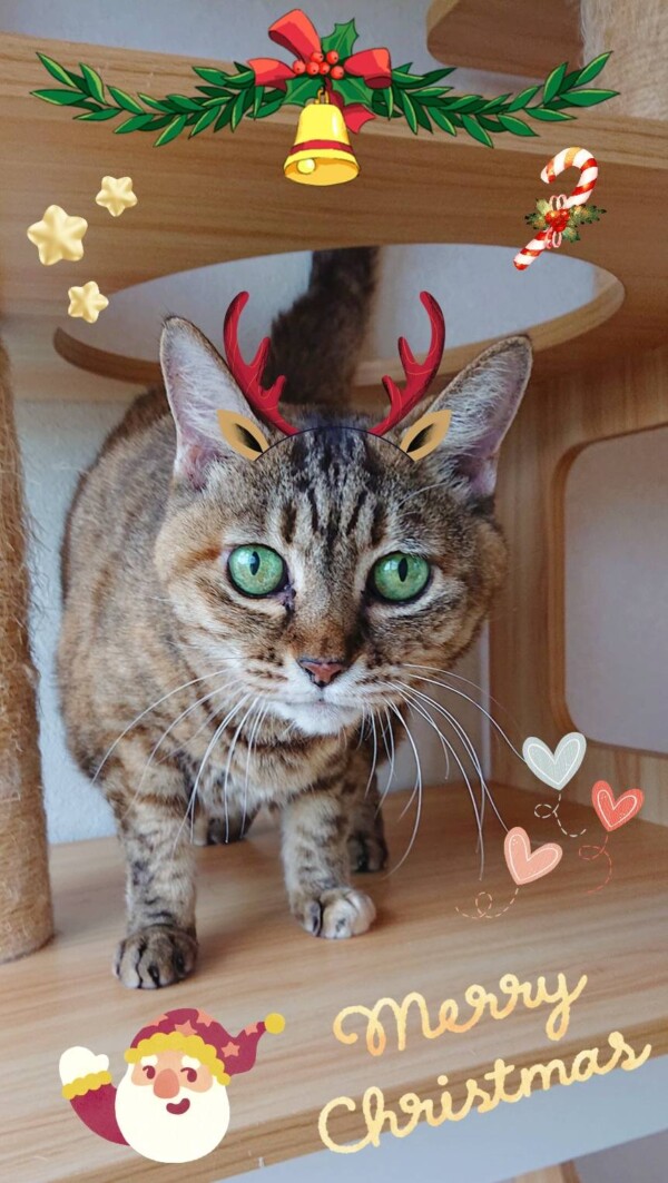 緊急お泊りまめちゃん☆