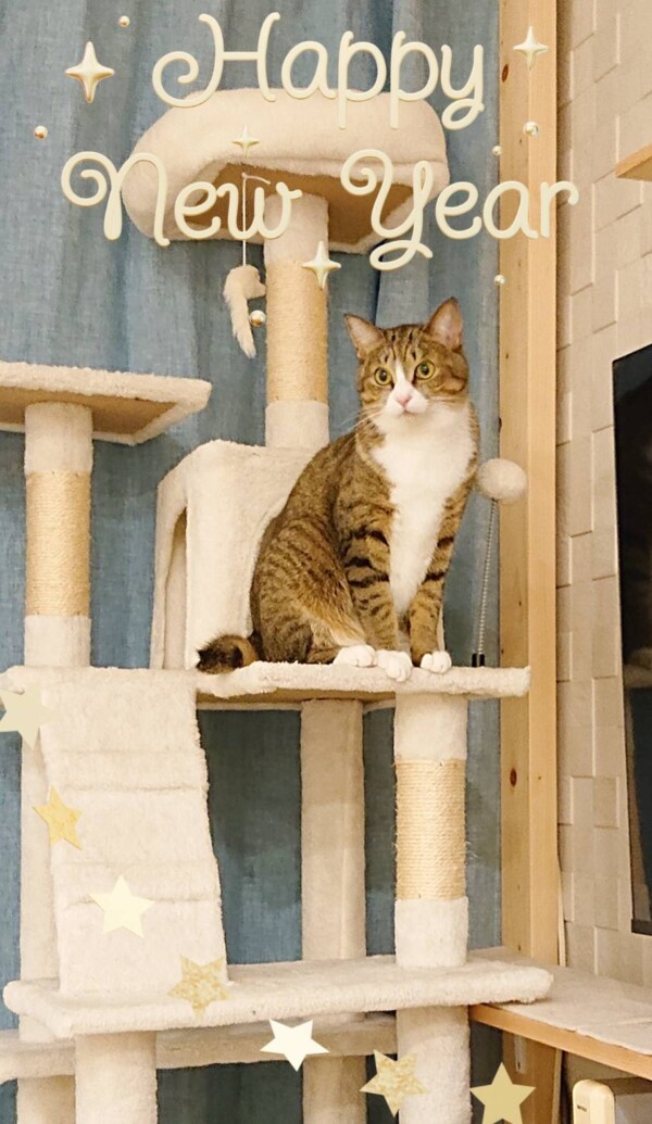 年越しモナちゃん☆