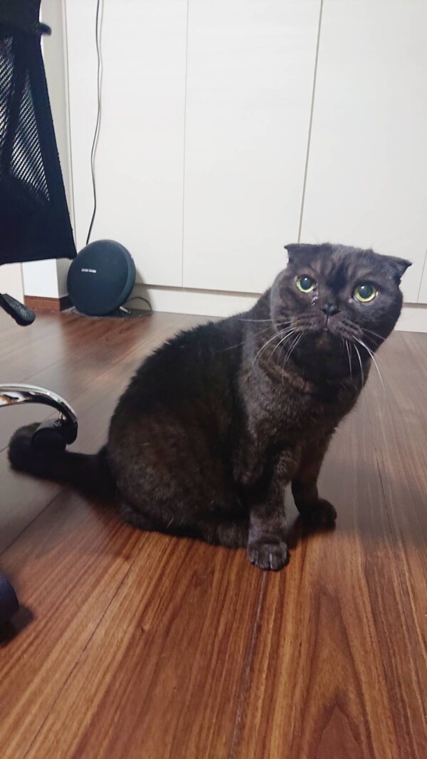 いつも通りクロ君☆