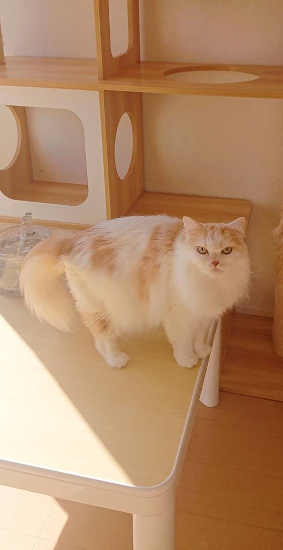 今年初のモモ君☆