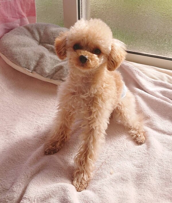 ３週連続セナ君☆