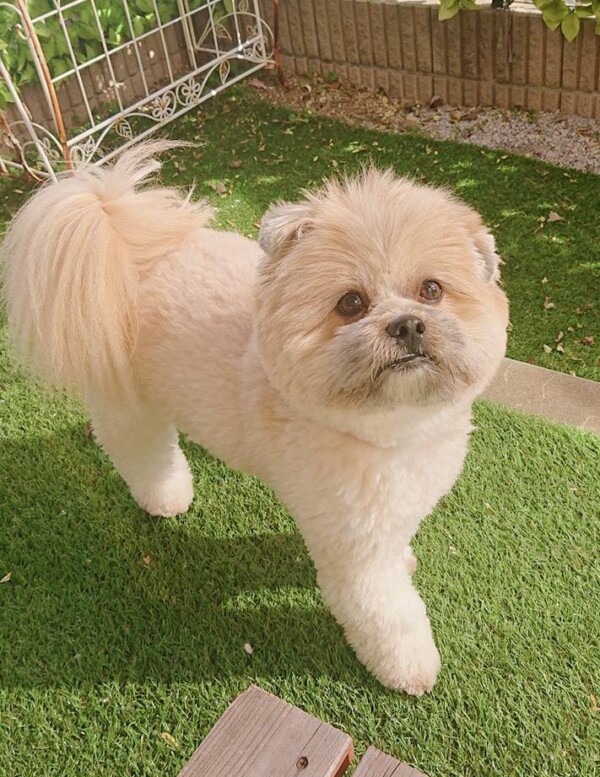 リピートの武君☆