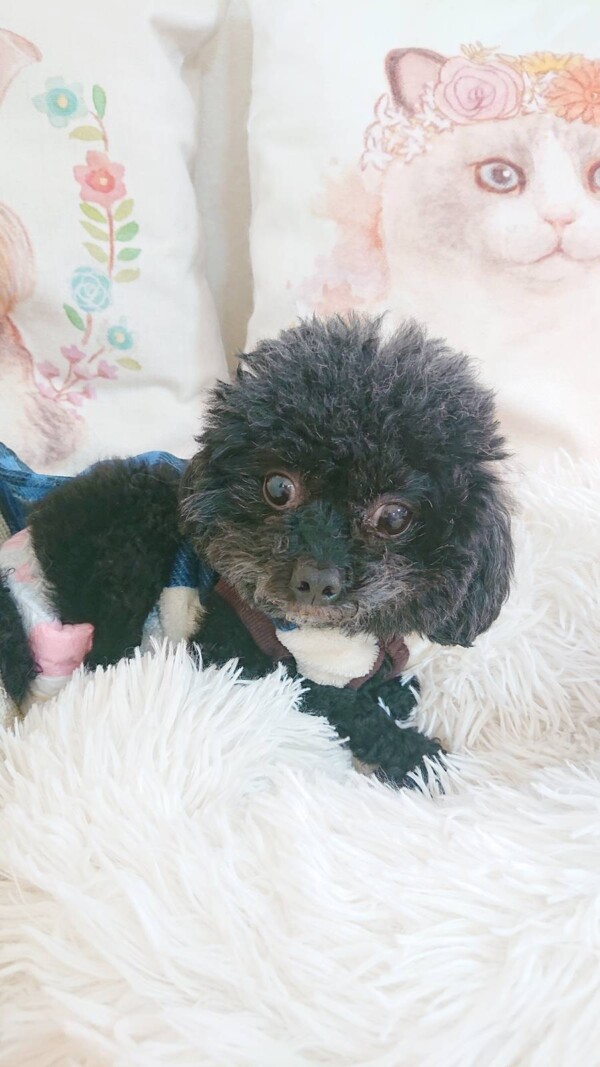 １匹お泊りキャンディちゃん☆