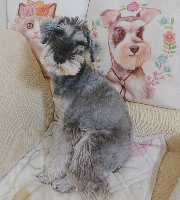 ９日間モモ君☆