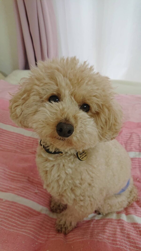 安定のマメ君☆