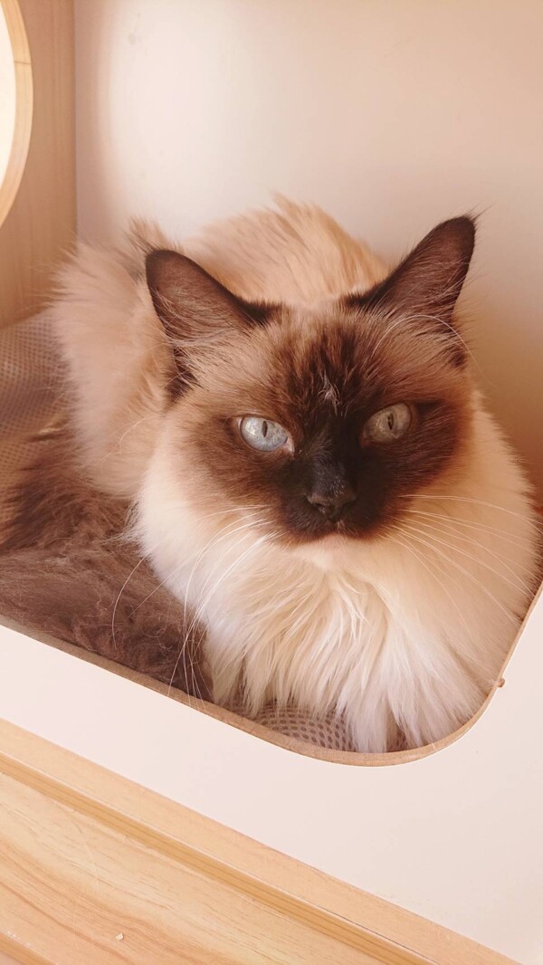 ９日間アシェル君・グレースちゃん☆