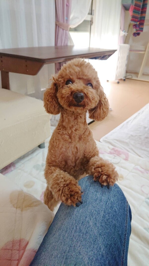 すっかりお姉さんクルちゃん☆