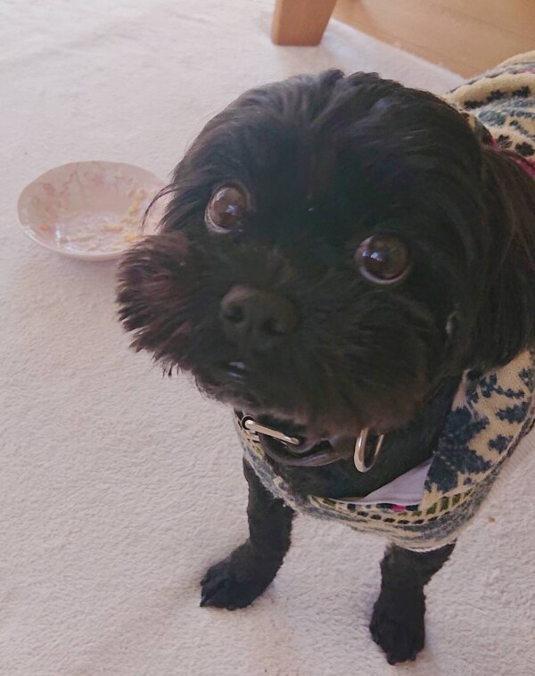 リピートお泊り丸君☆