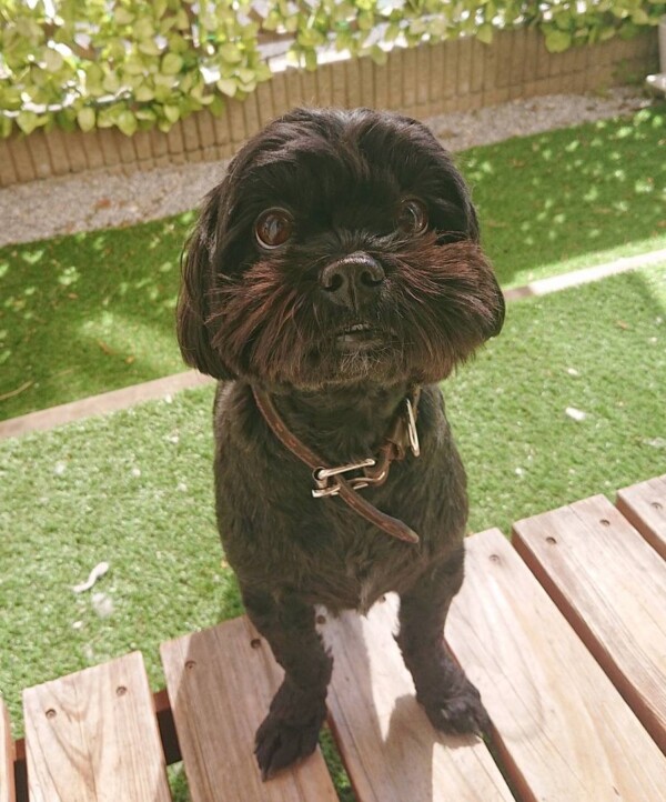 トレーニング３回目の丸君☆