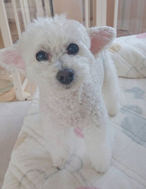 初相部屋の雪子ちゃん☆