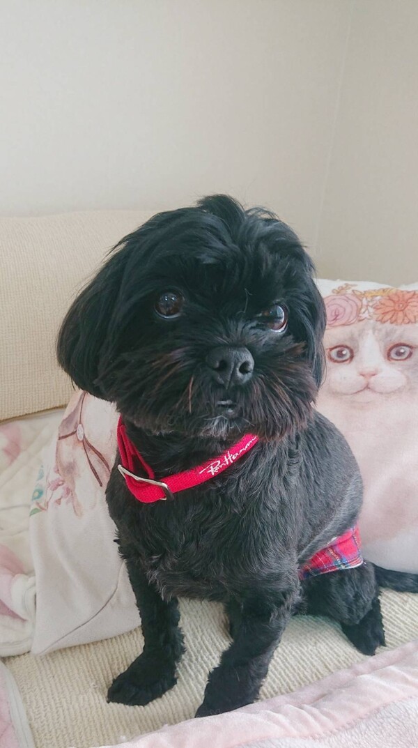 トレーニング４回目丸君☆