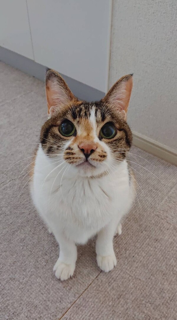 今回も可愛いたまちゃん☆