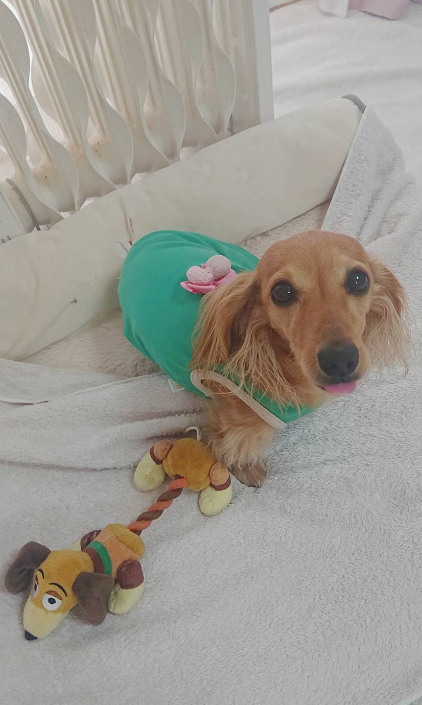 ５日間独占こころちゃん☆