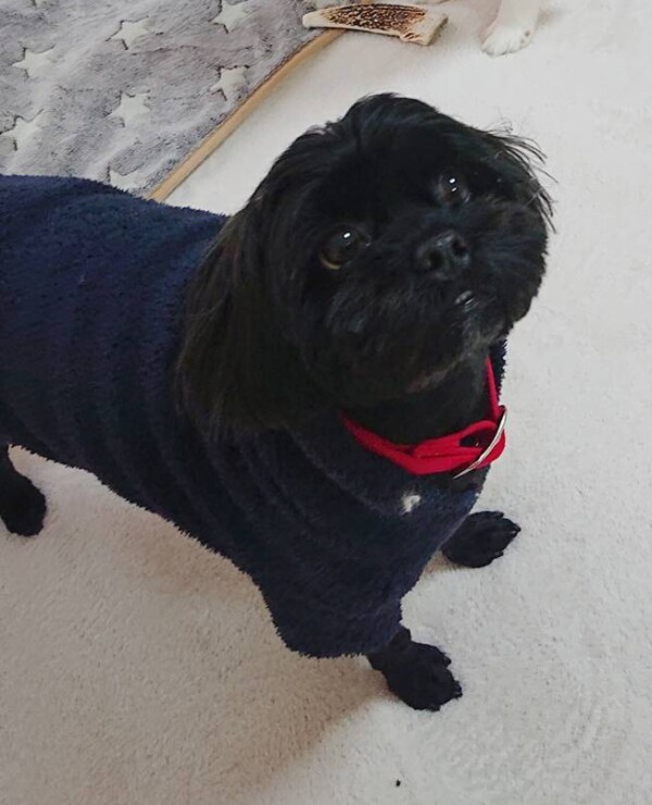 １０日間丸君☆