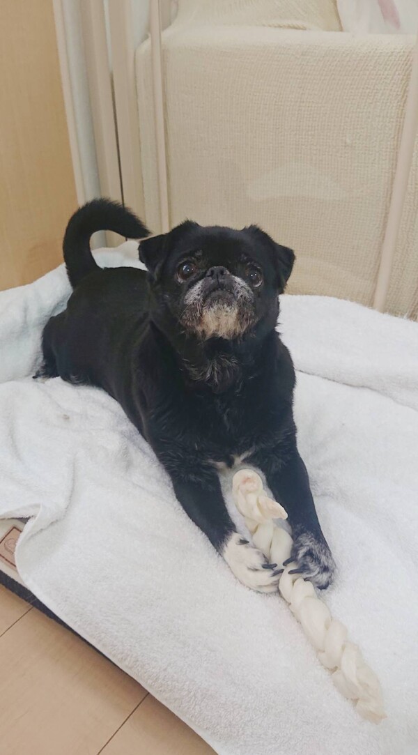 大先輩はなちゃん☆