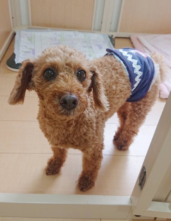 女子に圧倒されるプク君☆