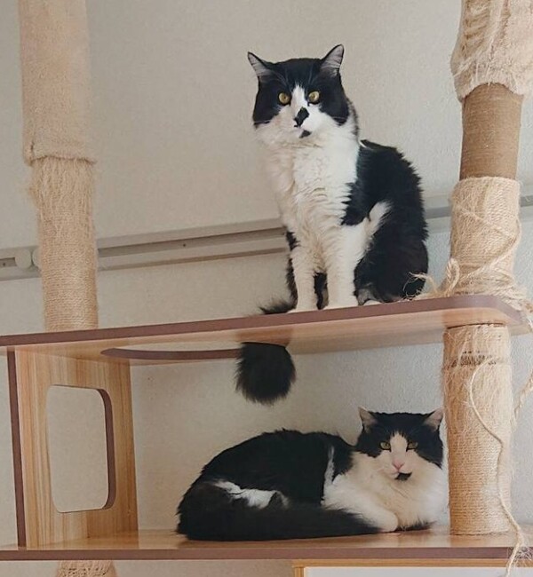 リピートふじお君・コタロー君☆