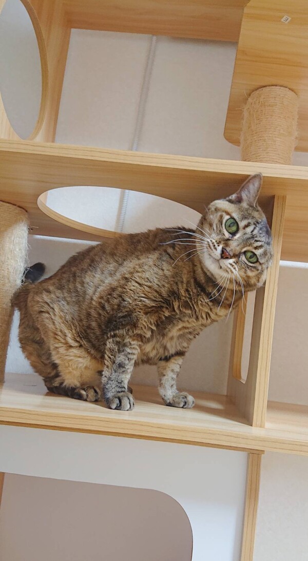 心配まめちゃん☆