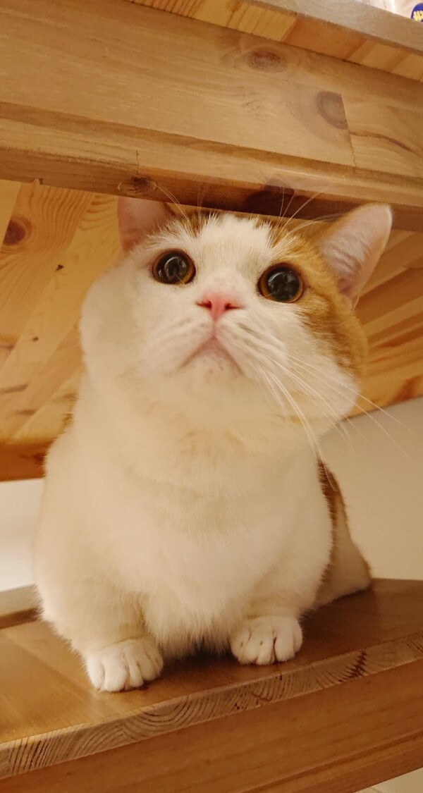 ２６回訪問チャチャ君☆（前半）