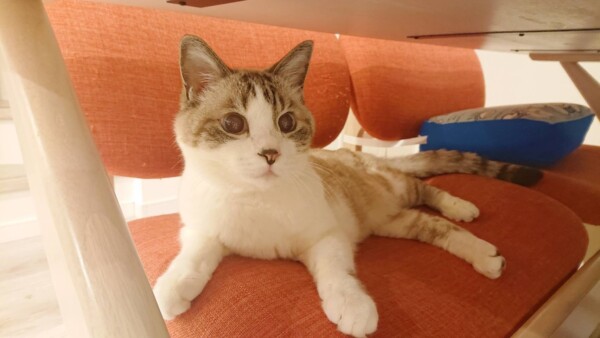 水飲みエース君☆