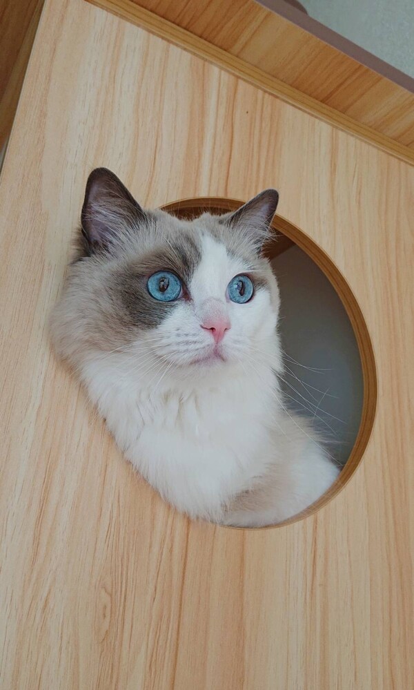 怒りんぼランちゃん☆