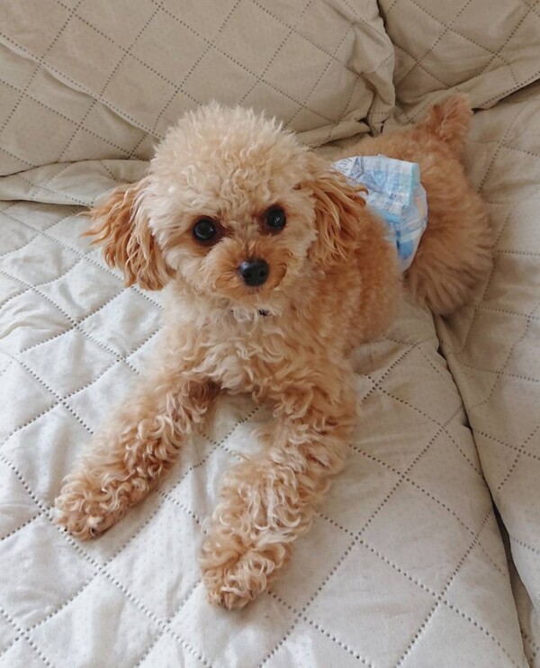 すぐ懐くセナ君☆