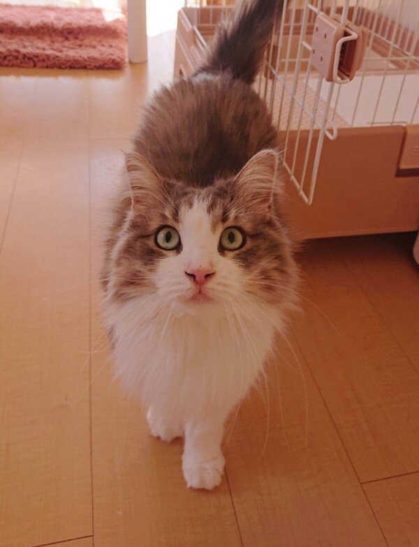 甘えんぼエマちゃん☆