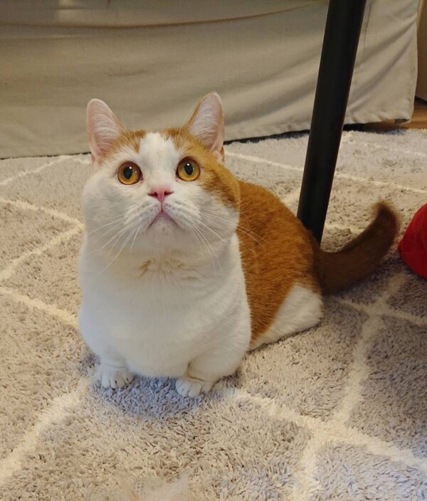 ２６回訪問チャチャ君☆（後半）