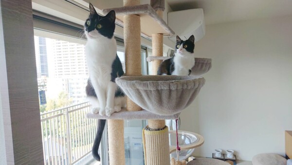 安定のハル君・リッカちゃん☆