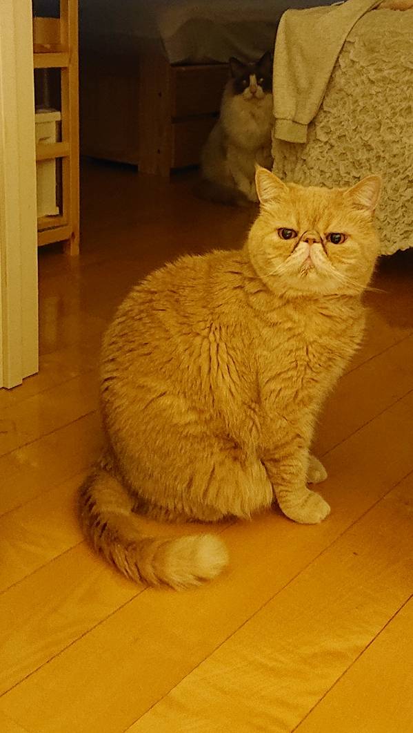 GWまめた君・もちた君☆